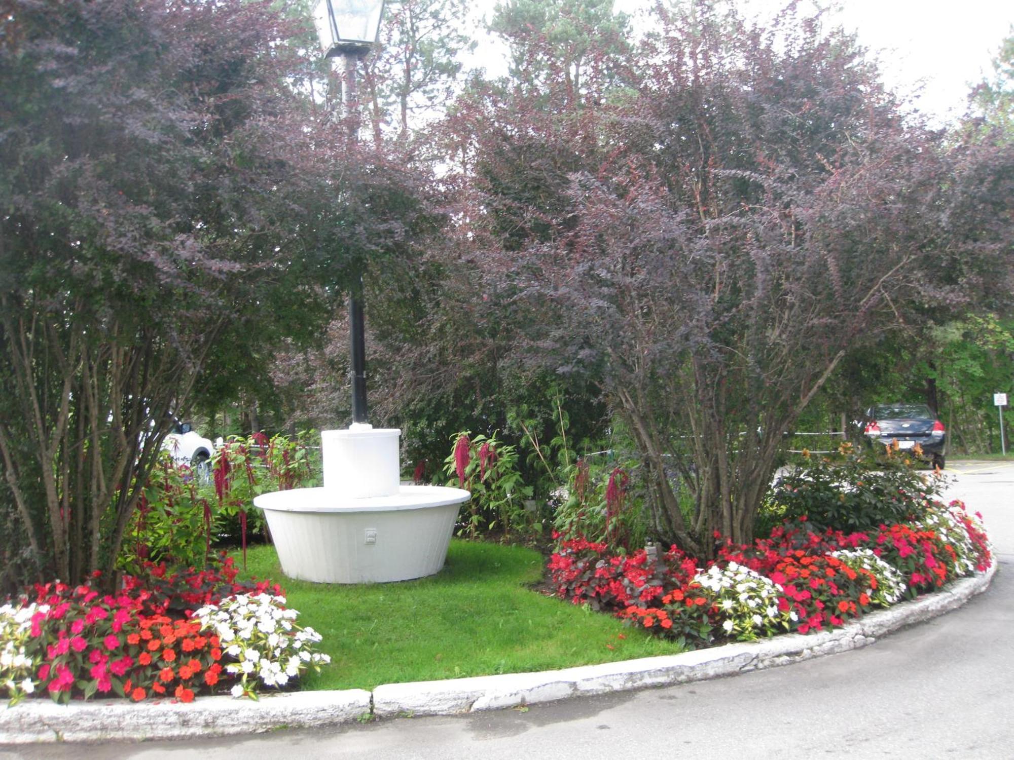 Glynmill Inn Corner Brook Exterior foto